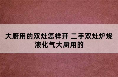 大厨用的双灶怎样开 二手双灶炉烧液化气大厨用的